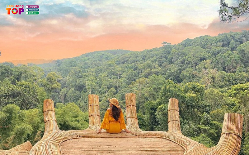 Hoa-son-dien-trang-da-lat-5