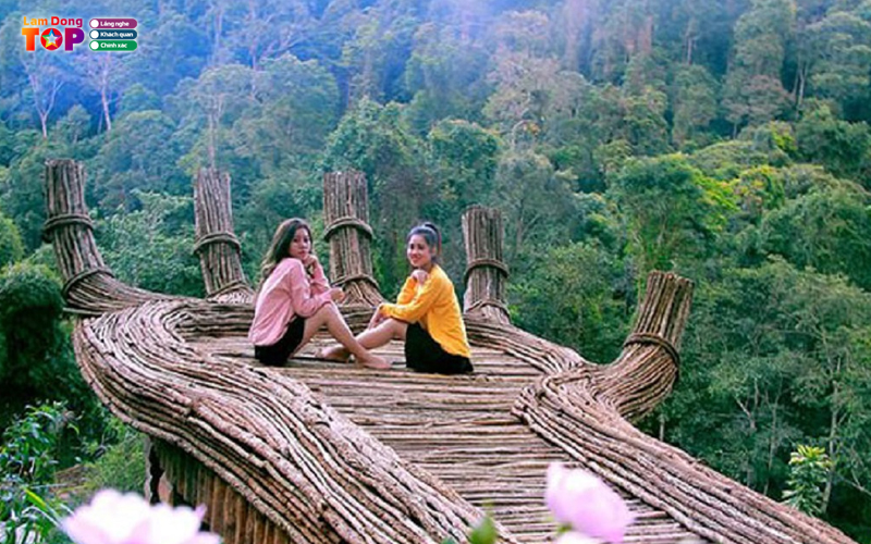 Hoa-son-dien-trang-da-lat-6