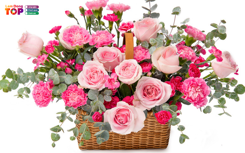 Hoa-tuoi-ha-lan-lamdongtoplist