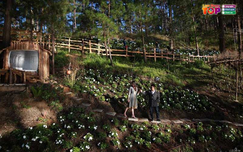 Khu-du-lich-da-tien-da-lat-1