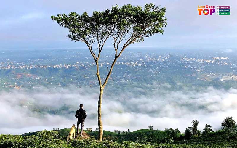 Nui-dai-binh-lam-dong-1