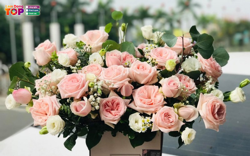 Shop-hoa-quang-tuyen-lamdongtoplist