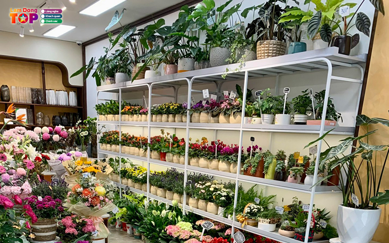 Tiem-hoa-lafuong-lamdongtoplist