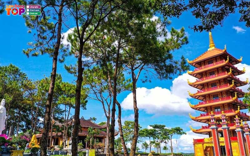 Tu-vien-bat-nha-lamdongtoplist-4