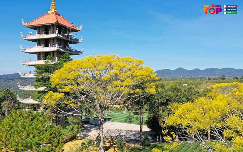 Tu-vien-bat-nha-lamdongtoplist