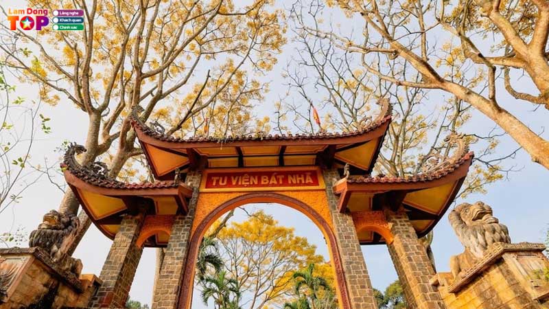 Tu-vien-bat-nha