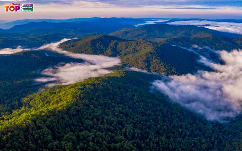 Vuon-quoc-gia-bidoup-nui-ba-1