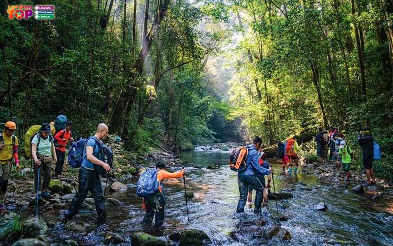 Vuon-quoc-gia-bidoup-nui-ba-2