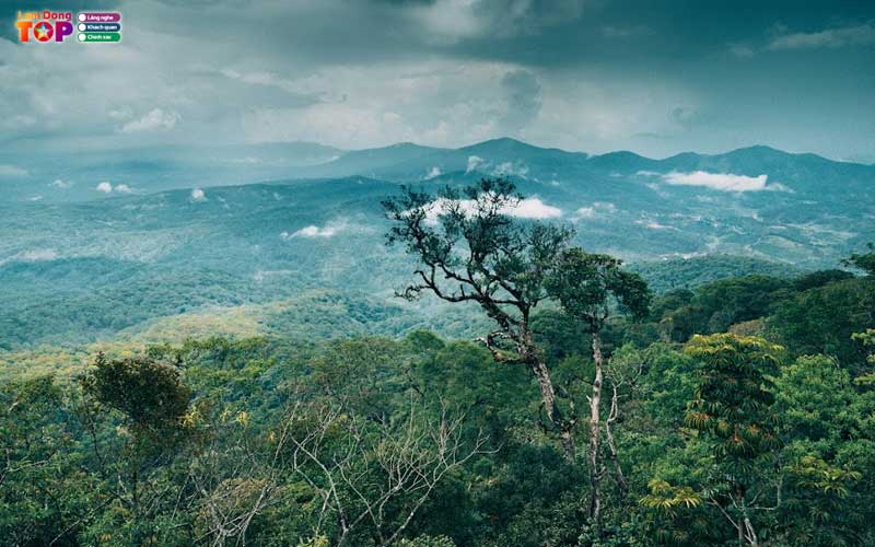 Vuon-quoc-gia-bidoup-nui-ba-3