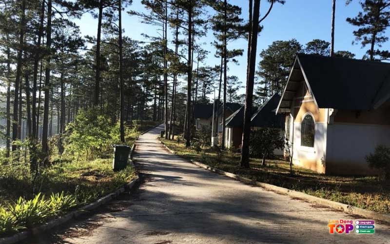 Vuon-quoc-gia-bidoup-nui-ba-4