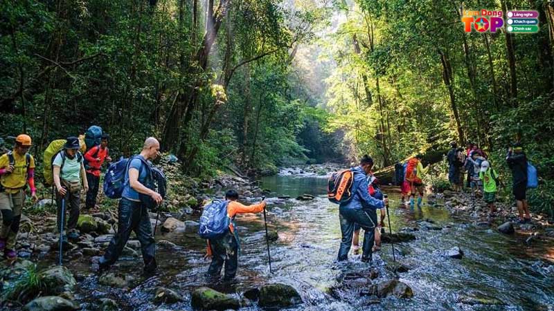 Vuon-quoc-gia-bidoup-nui-ba-lamdongtoplist