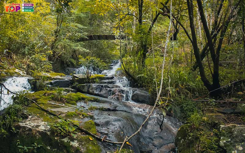 Vuon-quoc-gia-bidoup-nui-ba