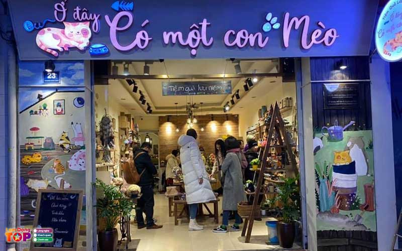 O-day-co-mot-con-meo-lamdongtoplist