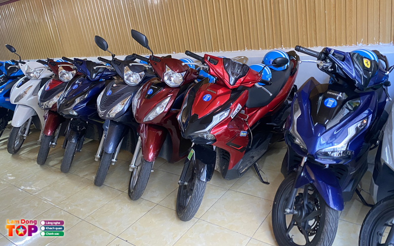 Thue-xe-may-an-thinh-lamdongtoplist