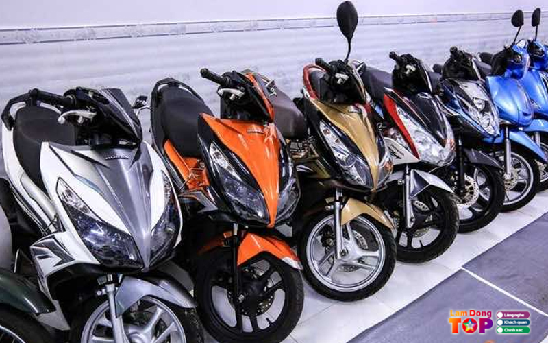 Thue-xe-may-go-happy-lamdongtoplist