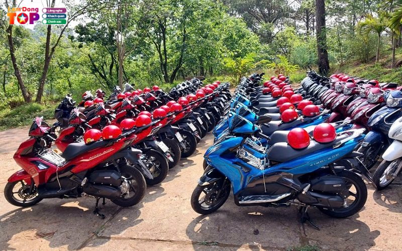 Thue-xe-may-vu-lamdongtoplist