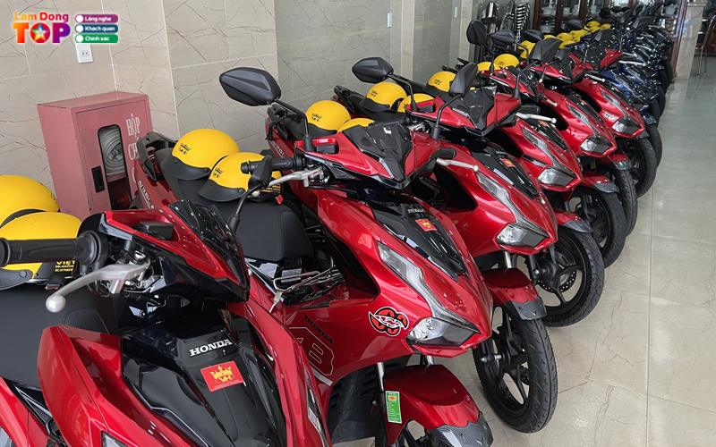 Trang-viet-hoa-lamdongtoplist