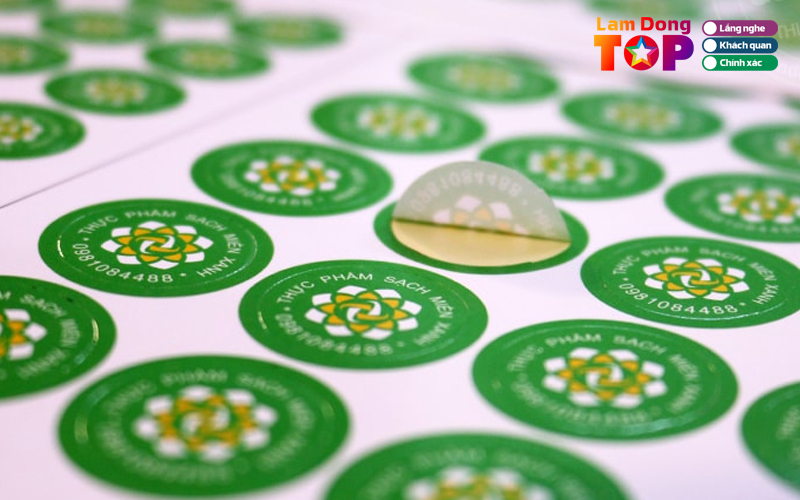 In-an-da-lat-lamdongtoplist