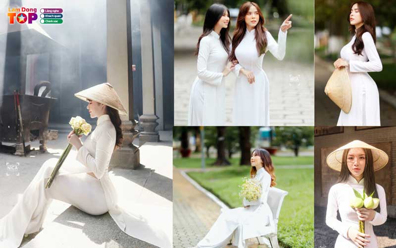 Thue-do-chippi-lamdongtoplist