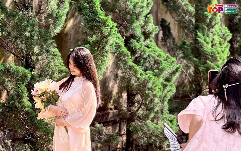 Rung-giao-huong-lamdongtoplist