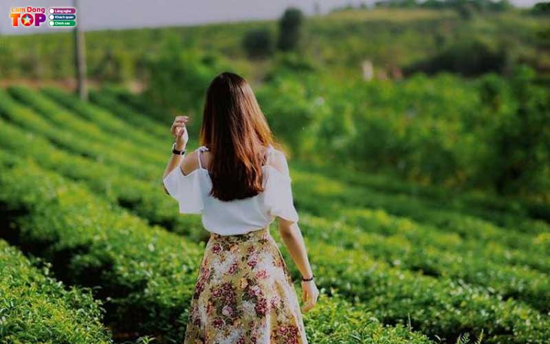 Doi-che-tam-chau-bao-loc-5