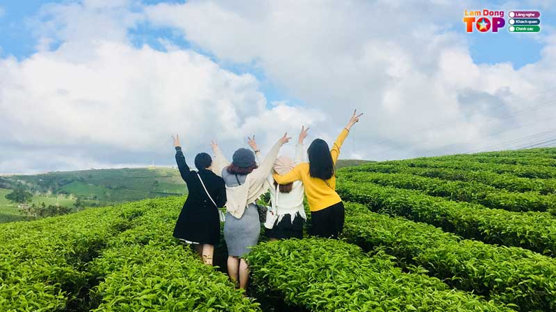 Doi-che-tam-chau-bao-loc-lamdongtoplist